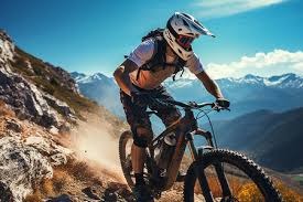 德甲冬歇期专访皮萨罗、赫韦德斯 ——半程看点解析